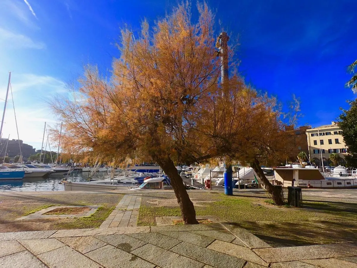 Central Савона